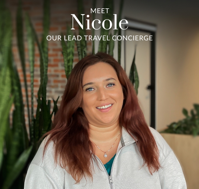 Travel consultation
