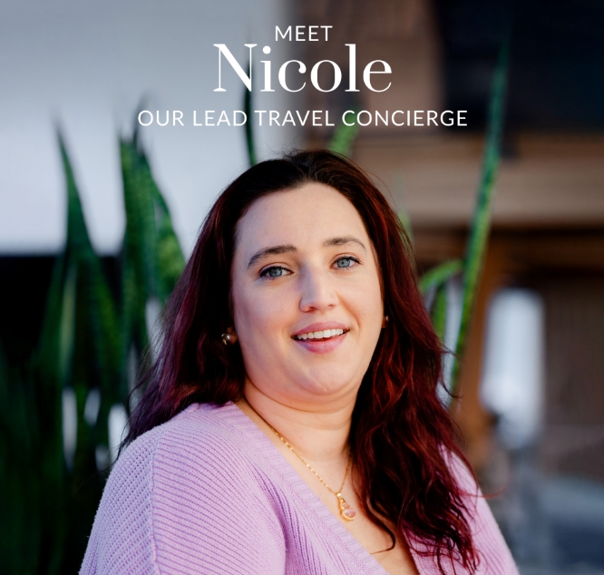 Travel consultation