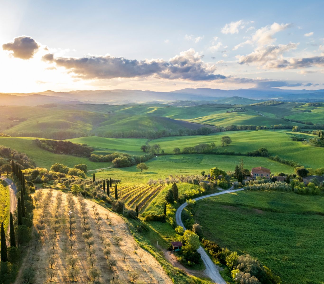 board of directors comp trip catalog image of tuscany italy