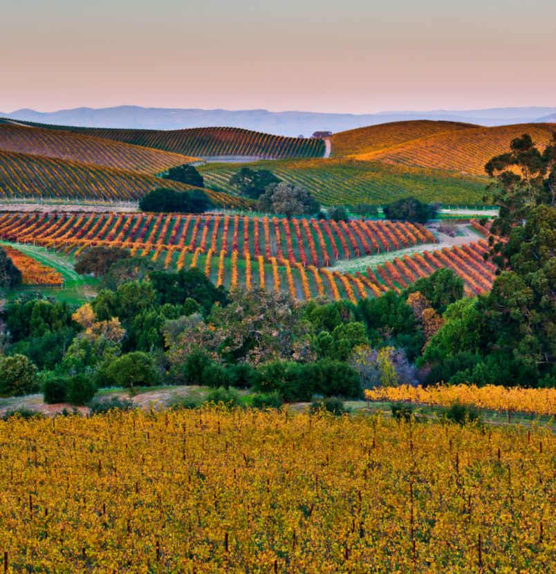 Wine Country, Napa, Sonoma