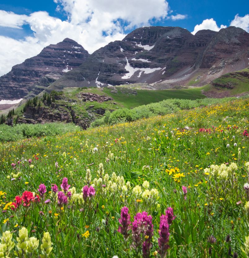 Summer In Colorado